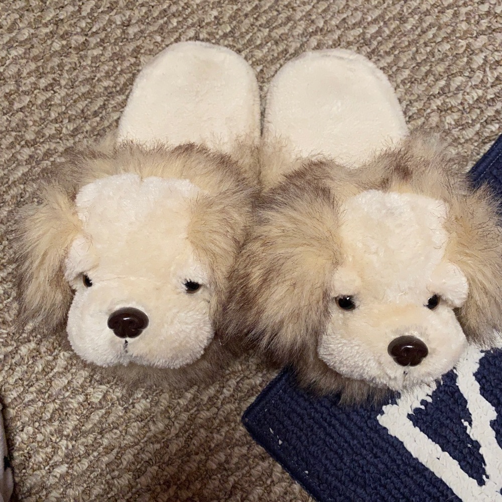 Dog slippers